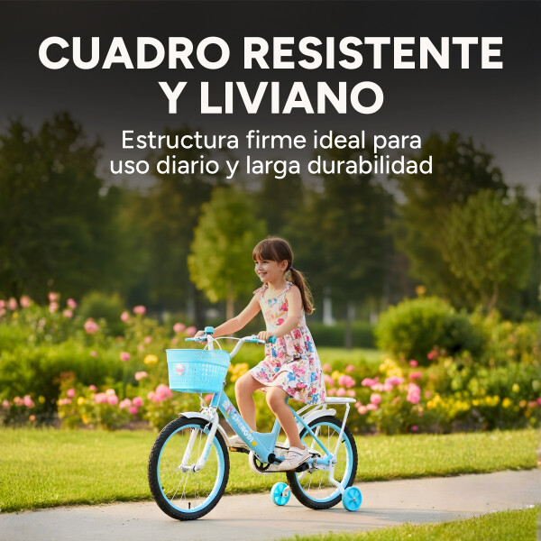 Bicicleta infantil Shengdi Rodado 18 Canasto Parrilla Hadas Color Celeste