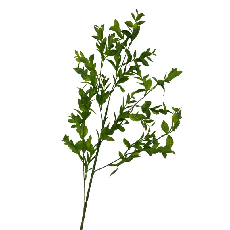 Rama de Hojas Rama de Hojas