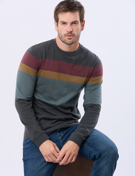 REMERA RAYADA DE ALGODÓN GRIS