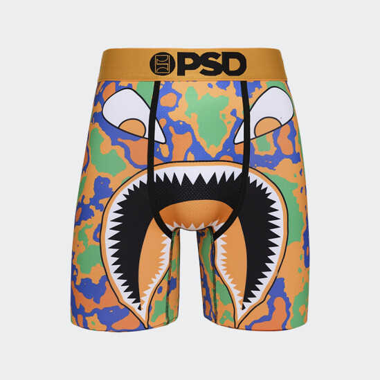Calzoncillos PSD WF Earf Multicolor