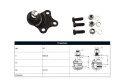 Rotula Del Citroen Xsara/Zx/Xsara Break Peug 306/Partner 93-25 Der/Izq Rotula Del Citroen Xsara/Zx/Xsara Break Peug 306/Partner 93-25 Der/Izq