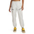 UA Unstoppable Cargo Pants-BRN BRN-279