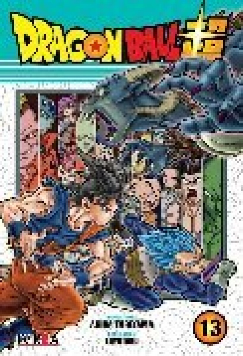 DRAGON BALL SUPER 13 