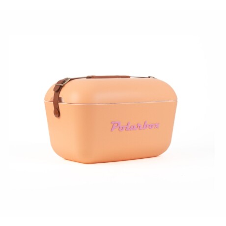 Conservadora Polarbox Classic Retro Vintage 20 L SALMON
