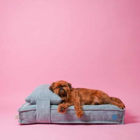 Cama para perro con almohada 100x70 cm Cama para perro con almohada 100x70 cm