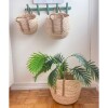 HN03 Set X3 Canastos De Ratan Con Asas 22x17 / 25x20 / 30x25 - Natural