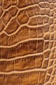 Matera de Cuero Combinado Grabado – Con Compartimento Interno Croco marrón