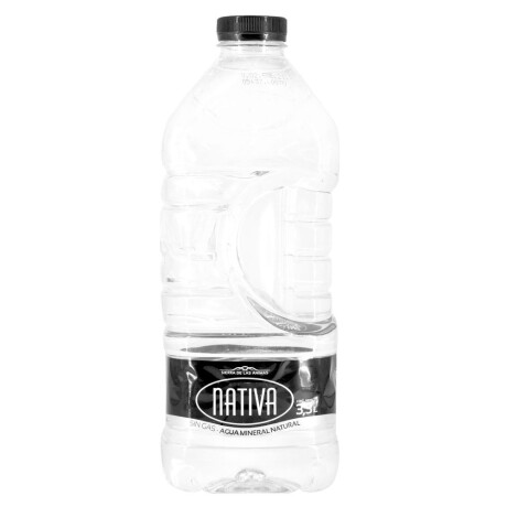 AGUA NATIVA JARRA 3.3 LT S/GAS AGUA NATIVA JARRA 3.3 LT S/GAS