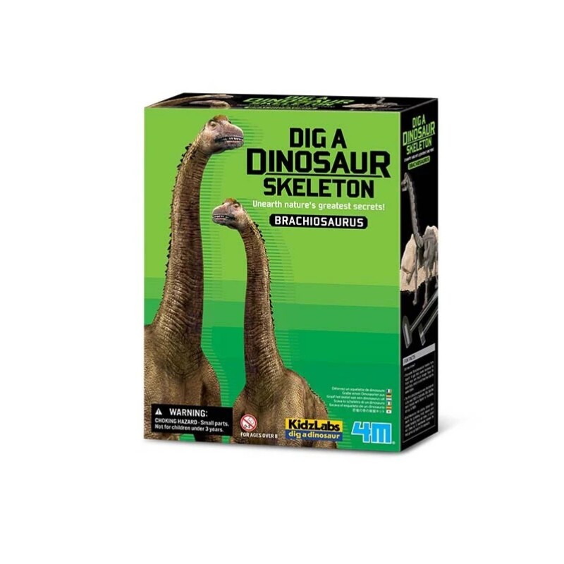 KIT EXCAVACION BRACHIOSAURUS SKELETON KIT EXCAVACION BRACHIOSAURUS SKELETON