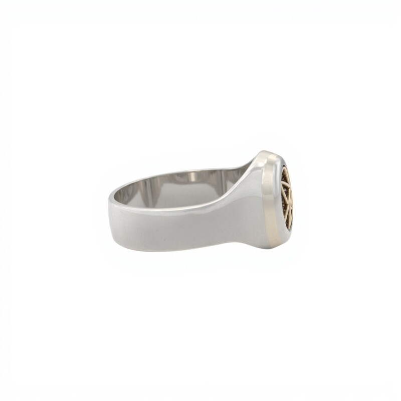 Anillo Profesión Magisterio - Plata y Oro-Sin Piedra-AP5057 sinpiedra