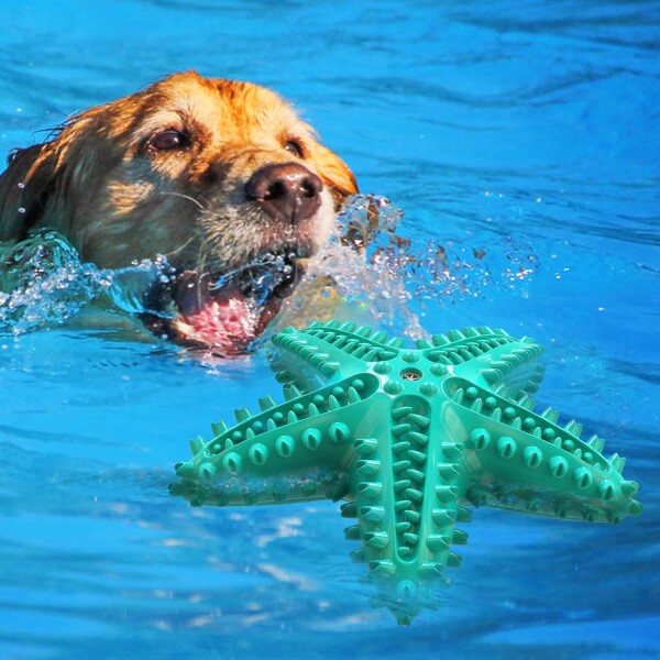 Juguete Perro Dental Morder Higiene Estrella Marina Flotante Color Variante Verde Agua