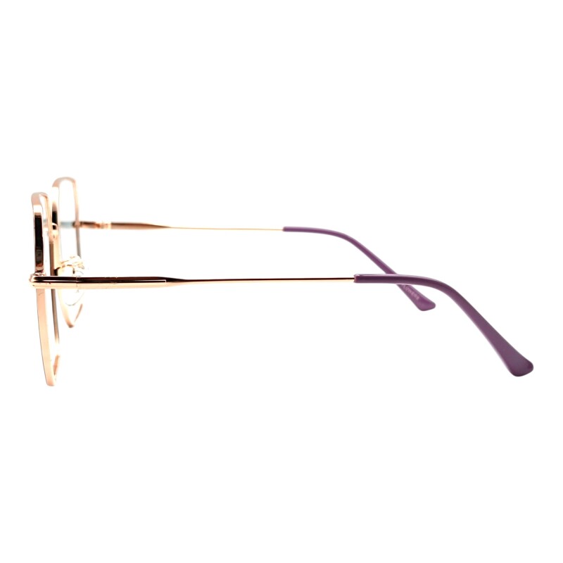 FS031061 lilacombinado