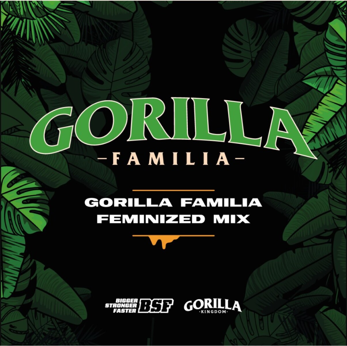 GORILLA FAMILIA FEMINIZED MIX - X12 UNIDADES 