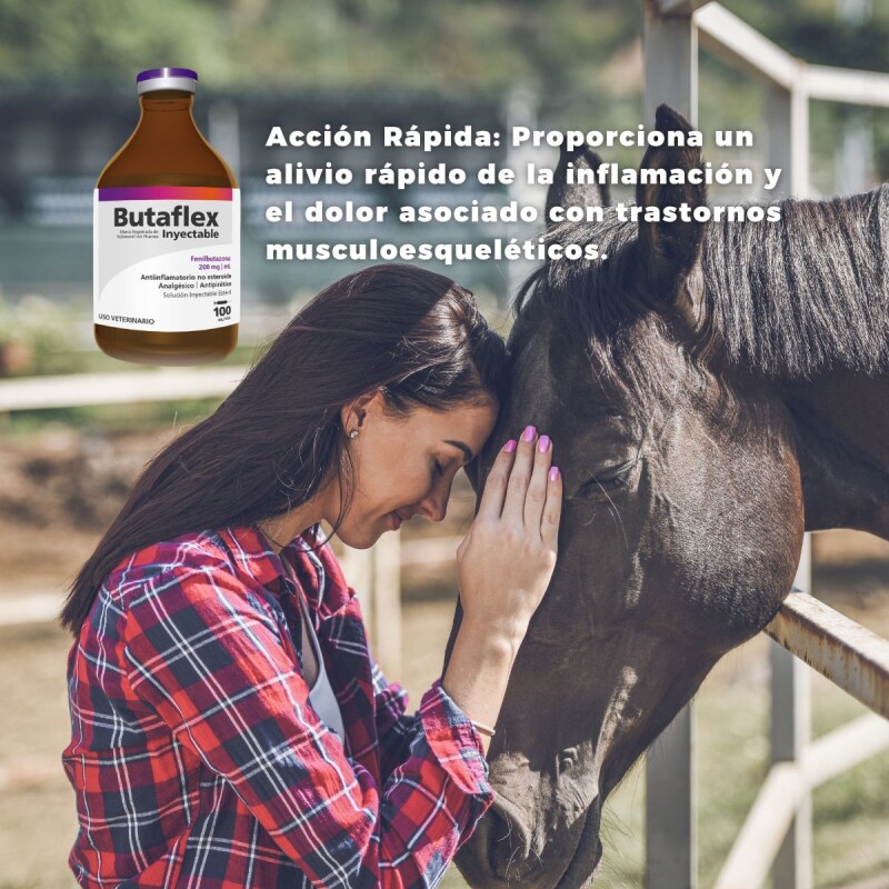 BUTAFLEX INYECTABLE FCO 100 ML BUTAFLEX INYECTABLE FCO 100 ML