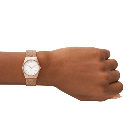 Reloj Skagen Clásico Acero Inoxidable Oro Rosa 0