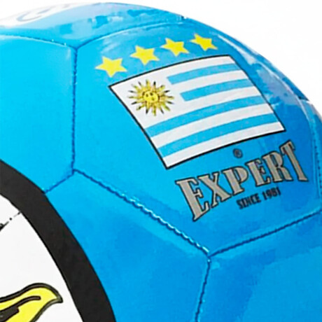 Pelota Expert N2 Diseño Uruguay Fútbol Calidad Celeste