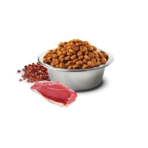 N&D Quinoa Feline Urinary Pato 7,5 kg N&D Quinoa Feline Urinary Pato 7,5 kg