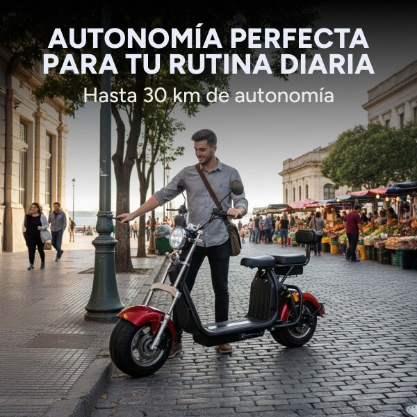 Moto Electrica Gogreen Deluxe 1500W 16Ah 30Km Autono. 45Km/h Color Variante Bordo