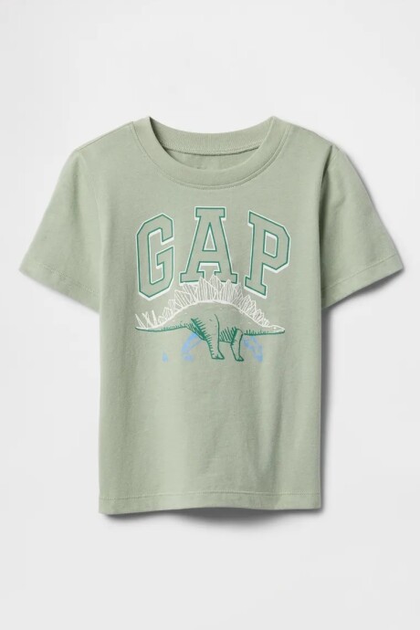 Remera Gráfico Toddler Niño Desert Sage