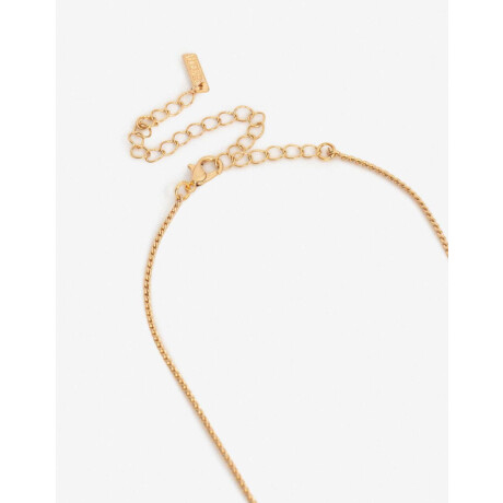 Collar Largo De Caracoles Dorado Oro Amarillo