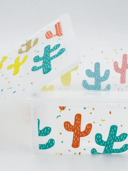 CAJA CON TAPA ESTAMPADA TRANSPARENTE