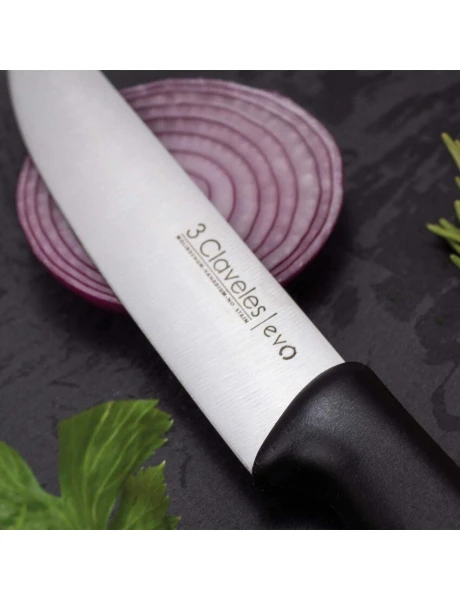 CUCHILLO COCINA 13.5CM CAJA PVC EVO 3 CLAVELES CUCHILLO COCINA 13.5CM CAJA PVC EVO 3 CLAVELES
