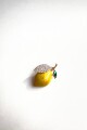 PIN FRUIT Limon