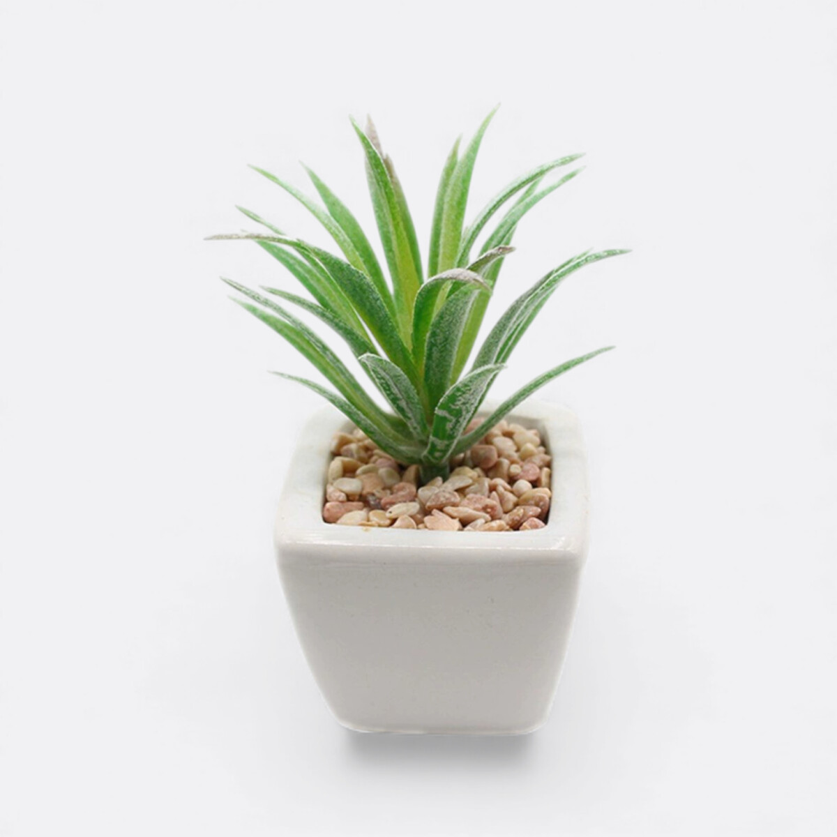 Maceta Mini Suculenta - Modelo 3 