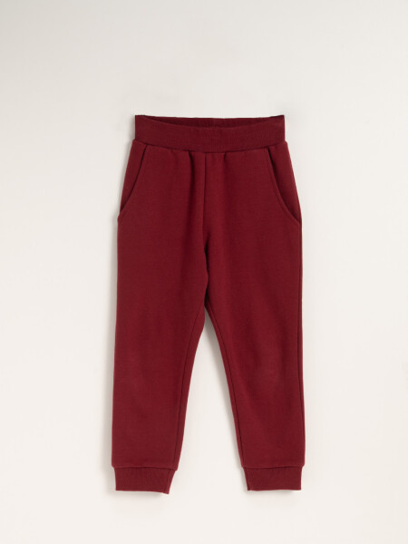 Pantalón jogger deportivo Bordo