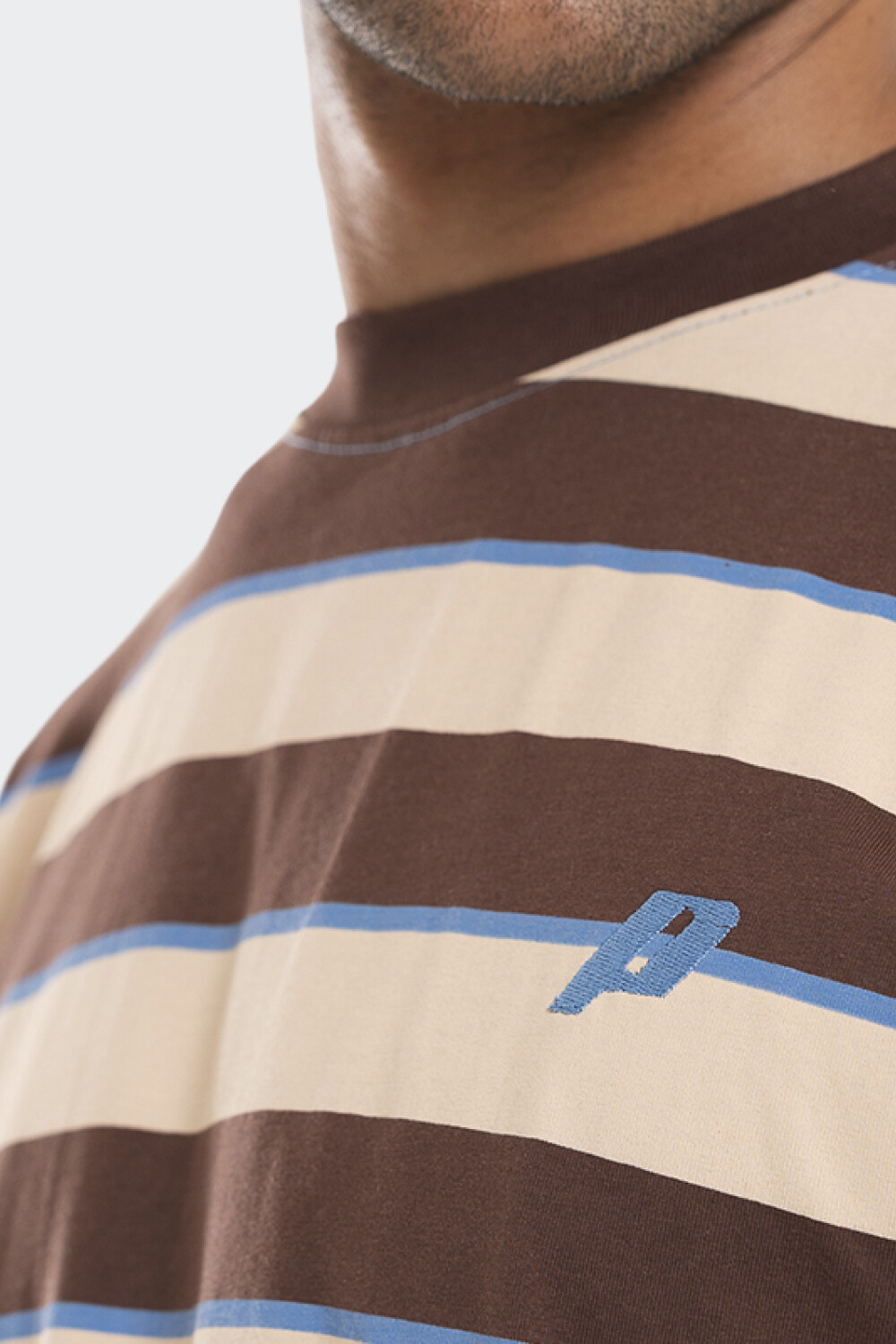 Remera Pulau Rayi Marron