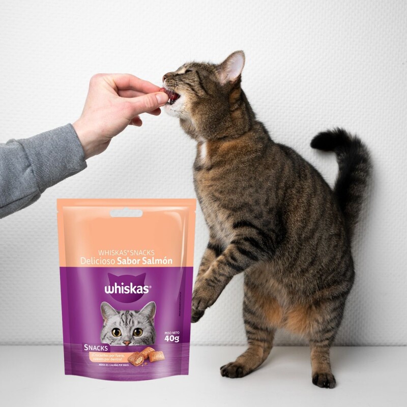 WHISKAS SNACKS SALMON 80 GRAMOS