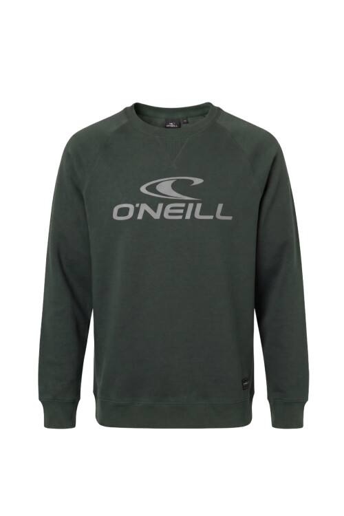 Buzo O'Neill Daily Wave Crewneck Verde