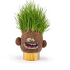 Cabeza de pasto Plant Pals Monsters Hape Happy Hank