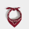 Vinchas Textiles Pañuelo Pañuelo Estampado - Rojo Burdeaux