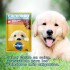 PEDIGREE EN SALSA CACHORRO 85 GRAMOS PEDIGREE EN SALSA CACHORRO 85 GRAMOS