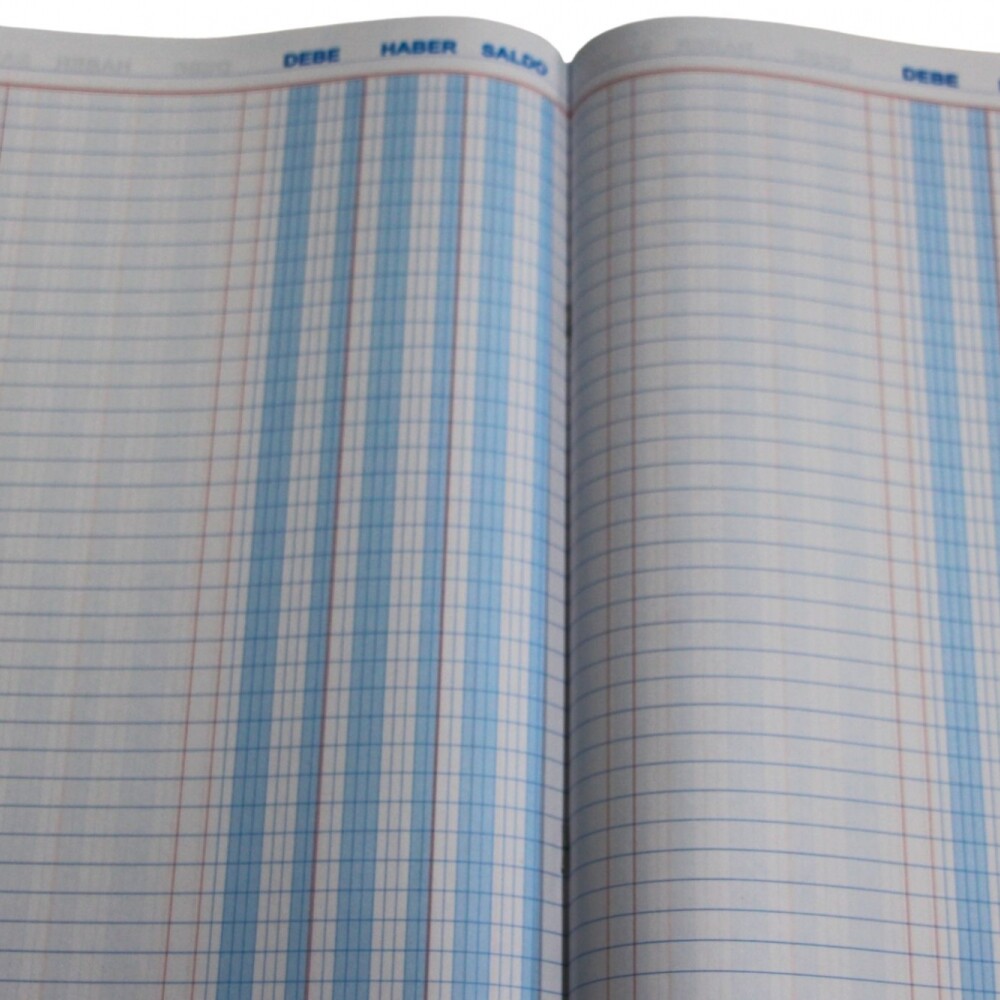 LIBRETON PANCHROME DEBE HABER SALDO LIBRETON PANCHROME DEBE HABER SALDO