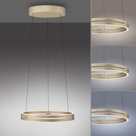 Colgante led anillo motorizado 40w 50cm a control remoto con varias funciones, Champagne Colgante led anillo motorizado 40w 50cm a control remoto con varias funciones, Champagne