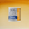 Acuarela Cotman - Winsor & Newton Tonos Tierra