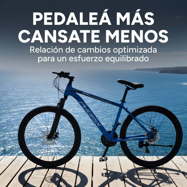 Bicicleta Phdrix Montaña Mtb Rod 26 Frenos De Disco 21 Veloc Celeste 1