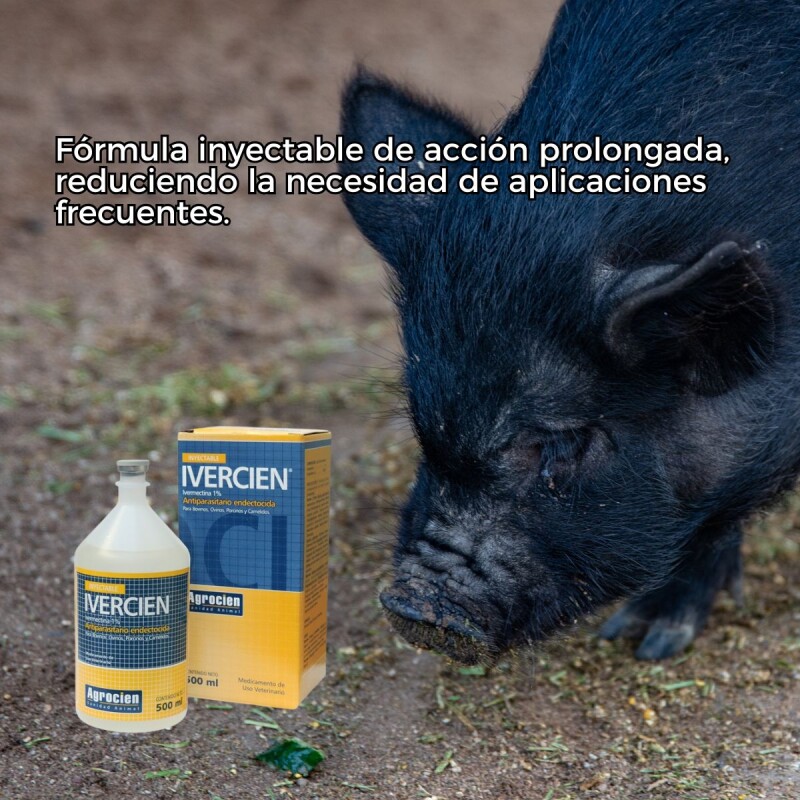 IVERCIEN 1% 500 ML IVERCIEN 1% 500 ML
