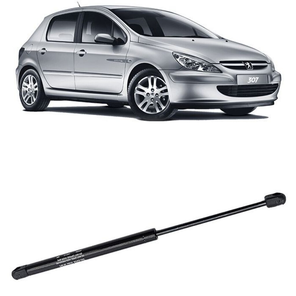 AMORTIGUADOR BAUL CITROEN - PEUGEOT PORTON TRAS. 307 HATCH (7925.15) -