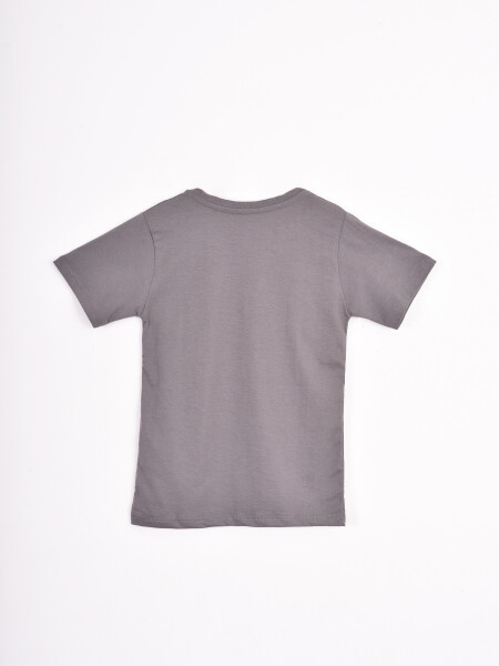 REMERA FORMULA GRIS