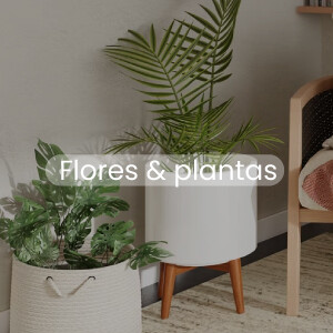 Flores y plantas