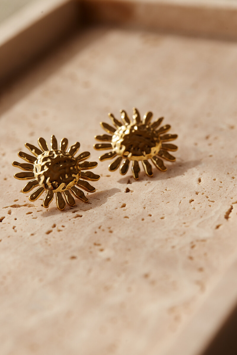 CARAVANAS SUNFLOWER 