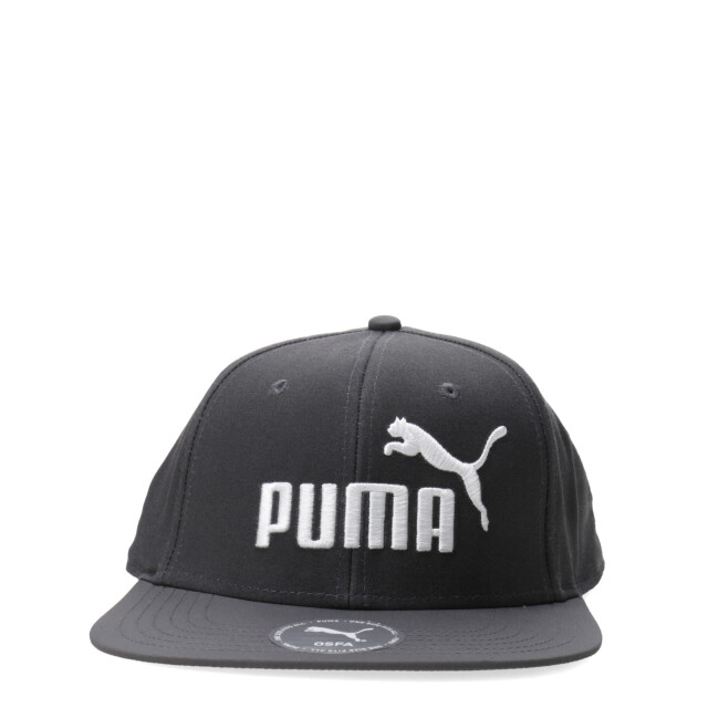 Gorro Puma Logo Flat Brim Gris