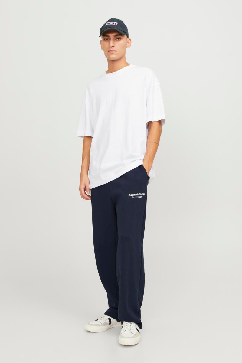 Pantalón Kane Jogger Sky Captain