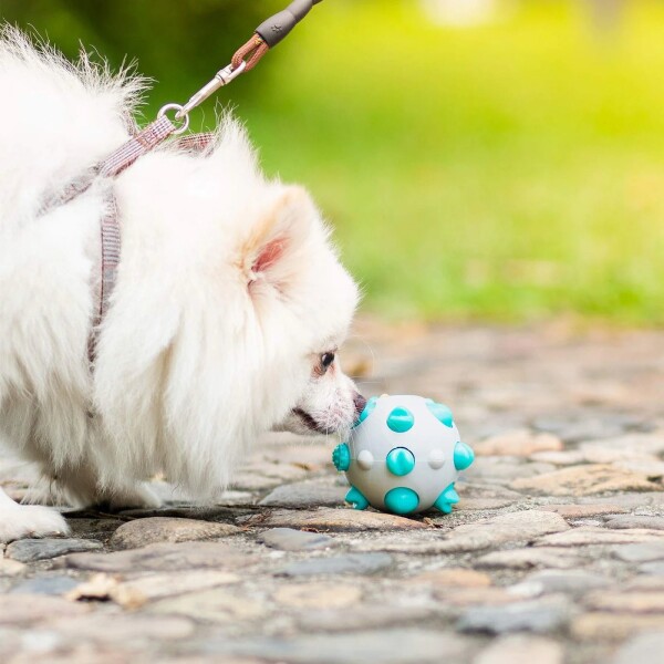 Pelota Juguete Perros Molar Macizo Limpia Dientes Resistente Color Variante Blanco Amarillo
