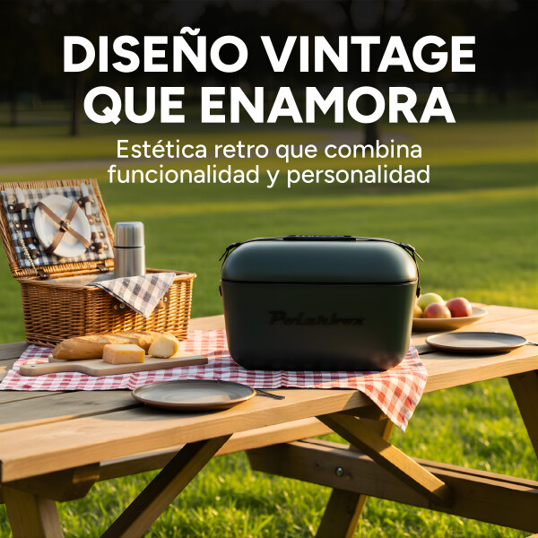 Conservadora Hielera Vintage 20L Litros Latas Hielo Polarbox Color Gris