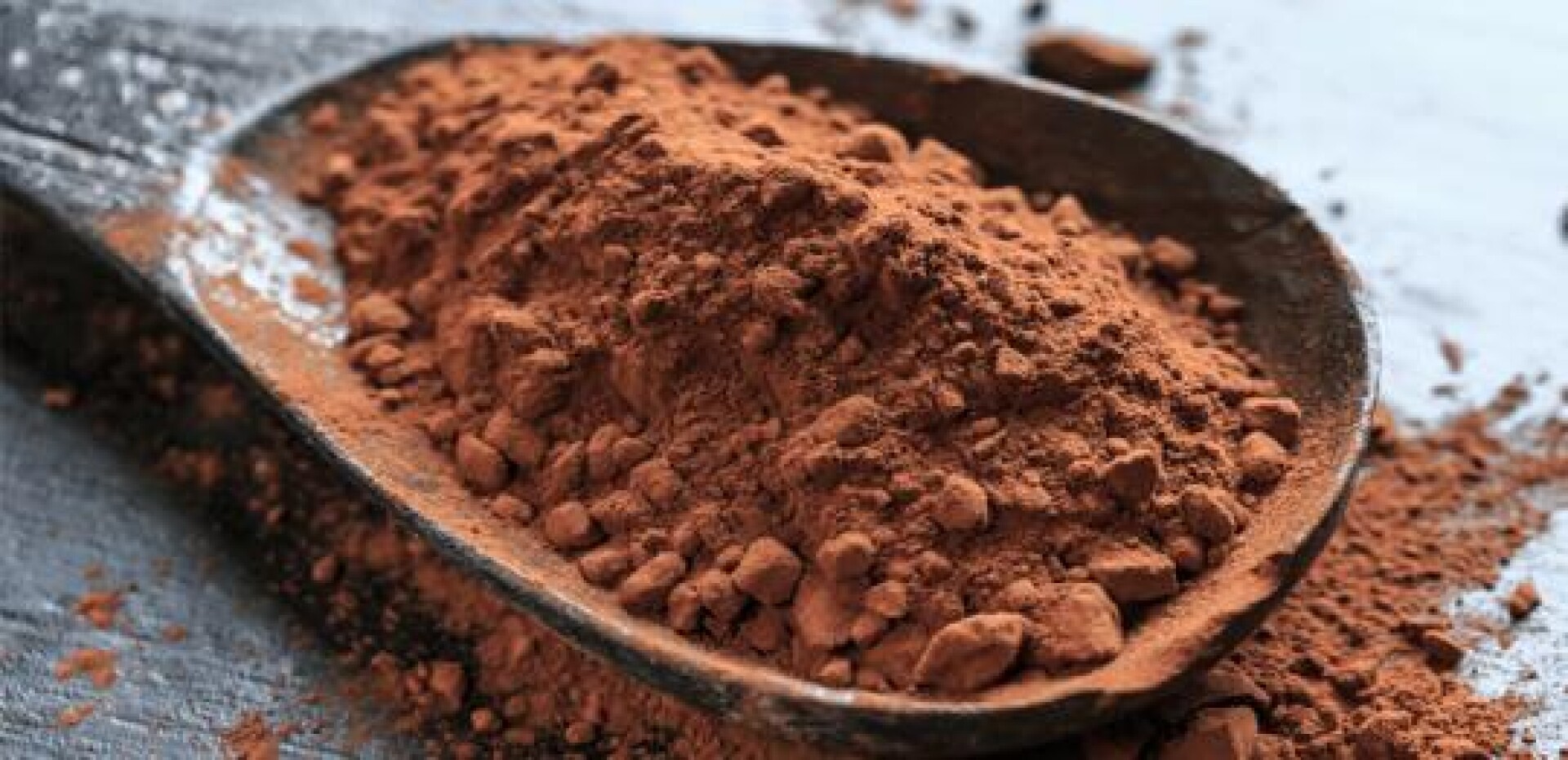 NAT-CACAO EN POLVO ALCALINO 