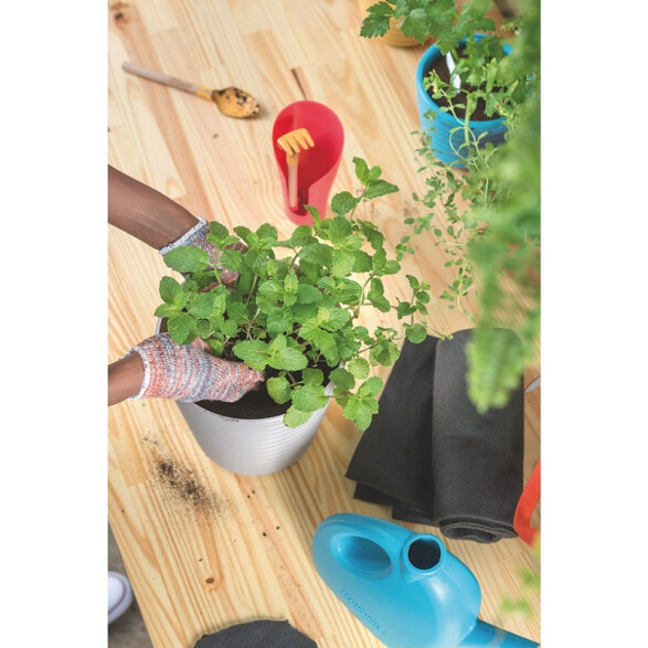 Regadera plástica azul, 2 litros -TRAMONTINA TN1821